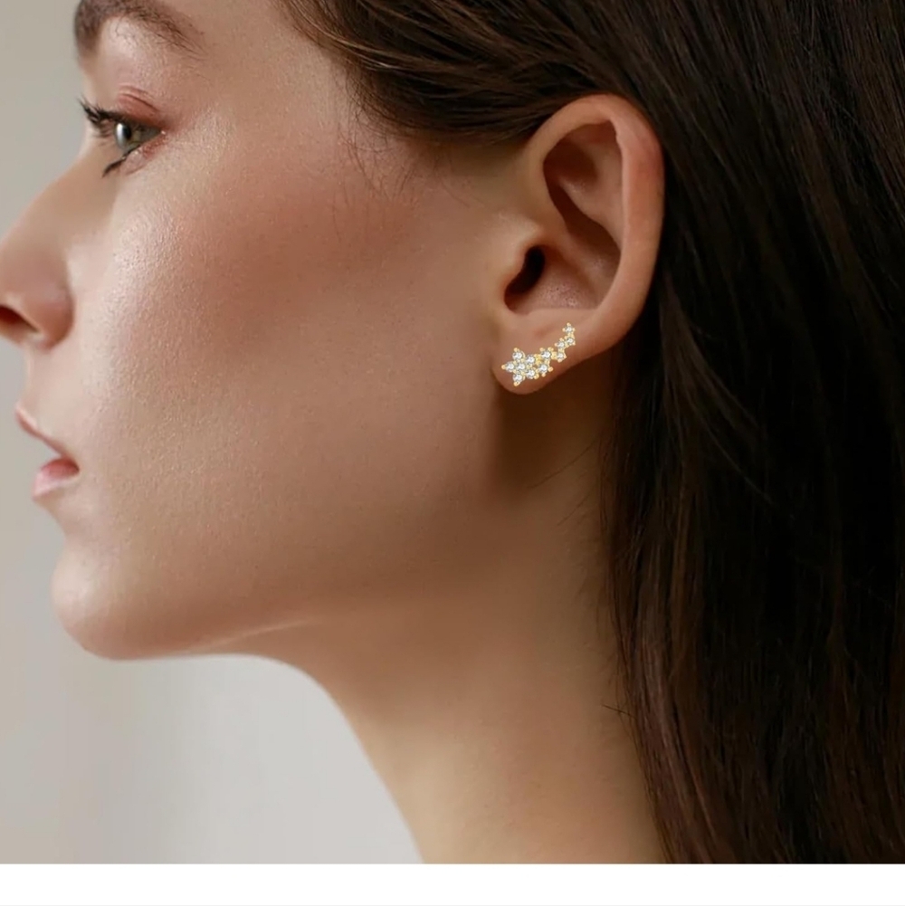 Elegant Gold and Silver Women's Earrings - Picture 3 of 5